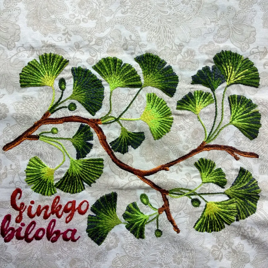 Foto de Lucila Lidia (5 de 12)