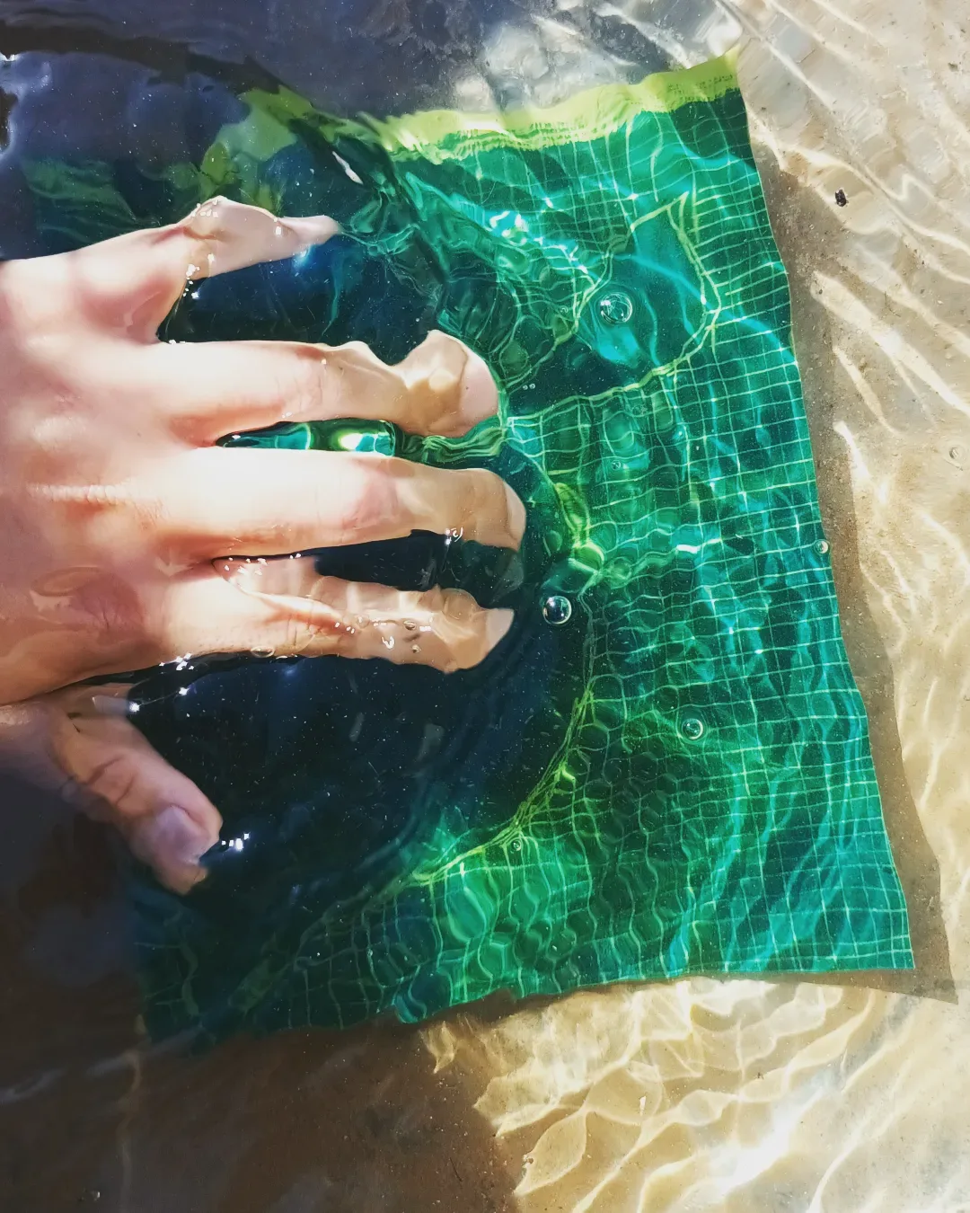 Taller de cianotipia: impresión botánica al sol