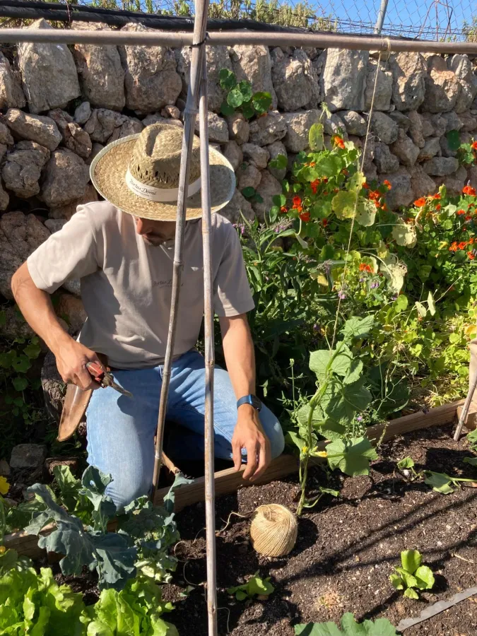 Curso de huerto 2: construir un espacio duradero