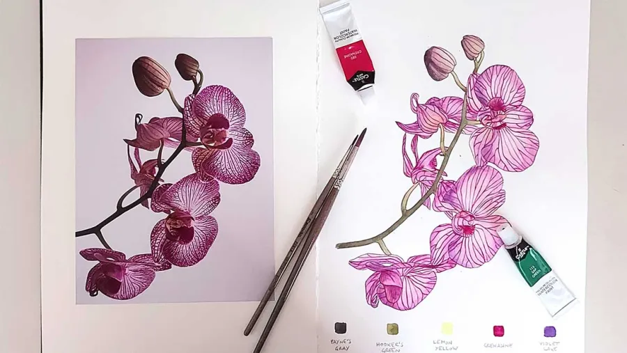 Acuarela botánica: orquídea