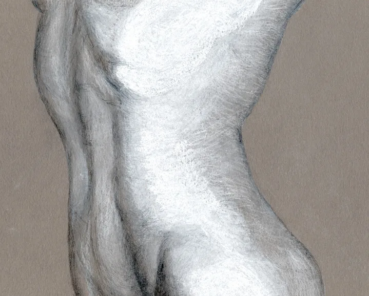 Dibujo anatómico con modelo