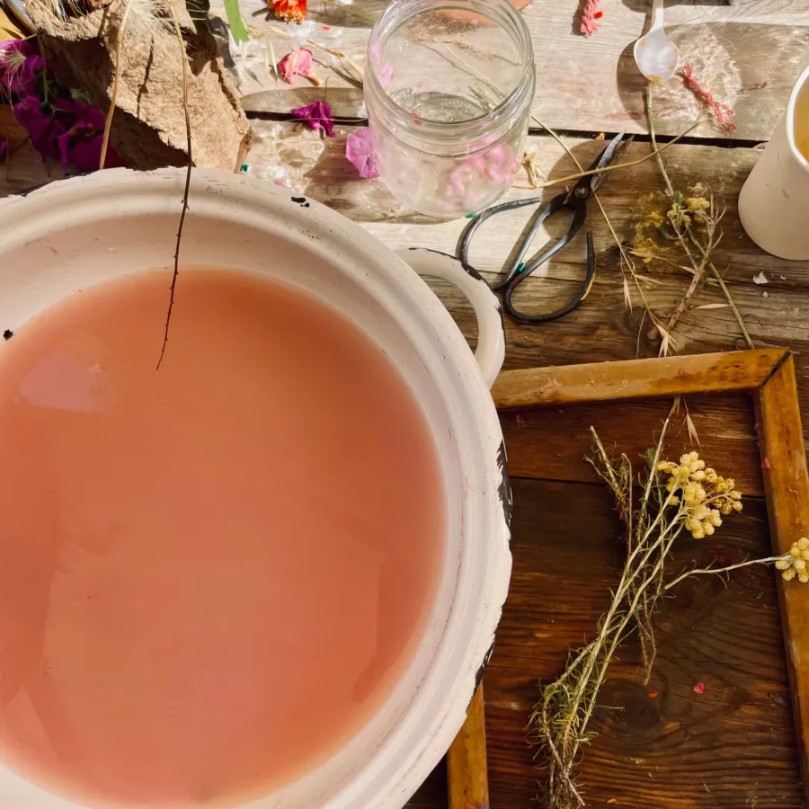 Foto de L'atelier n°74 Ibiza (3 de 12)