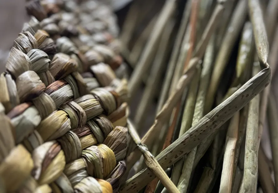 Introduction to English Rush Weaving