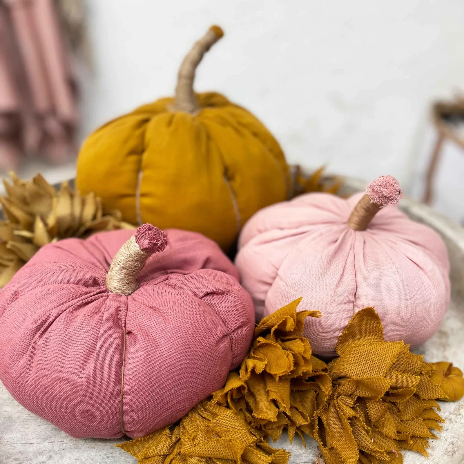 Taller familiar de calabazas de tela