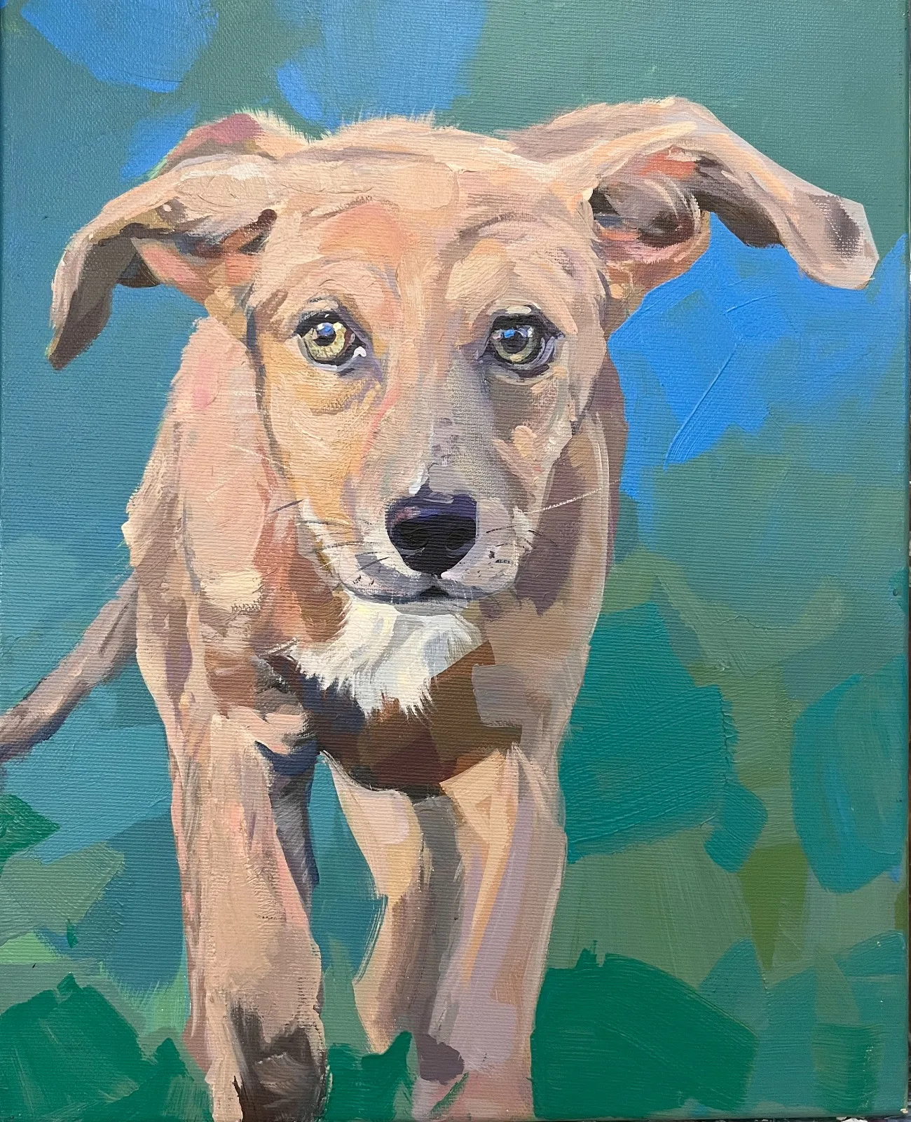 Art Night Mascotas: pinta el retrato de tu mascota